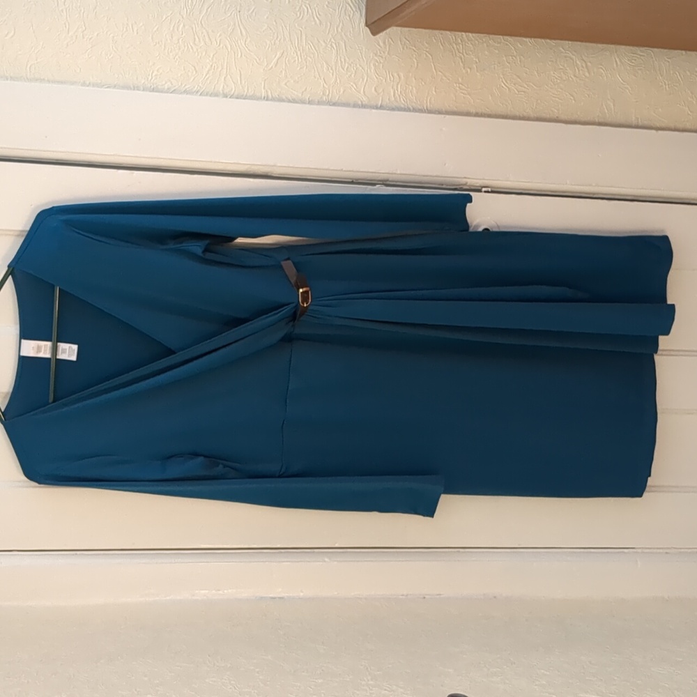 EUC Dark Teal long sleeve dress